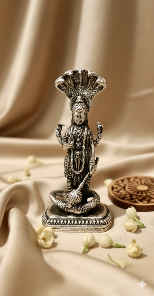 Vishnu Ji